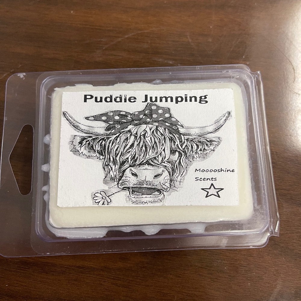 Wax melt bar (Puddle jumping) MB45